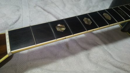 Snappy | Tokai & Japanese Guitar Forum
