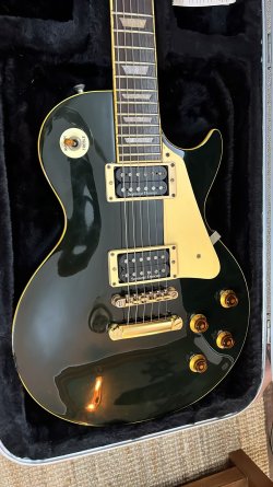 Please help me identify this Aria Pro 2 - Leopard | Tokai
