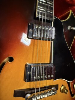 Honey Guitars Gallery | Tokai & Japanese Guitar Forum