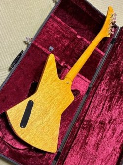 Momose Explorer MEX Gallery | Tokai & Japanese Guitar Forum