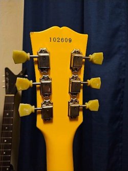 NGD - 2004 Bacchus Live Road Model BLS-59 TVY - custom order NGD - 2004 Bacchus Live Road Model BLS-59 TVY - custom order