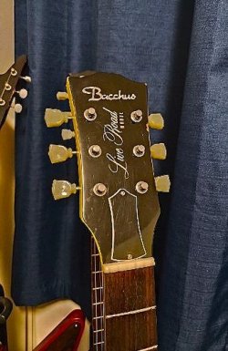 NGD - 2004 Bacchus Live Road Model BLS-59 TVY - custom order