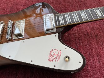 ギター FIREBIRD BURNY Burny Firebird | Tokai & Japanese Guitar Forum