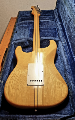 Neck-through Grand Suzuki Super Sound Brazen Picker Professional