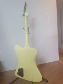 Burny Firebird | Tokai & Japanese Guitar Forum