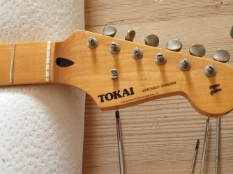 1982-83 Springy Sound Decal change. | Tokai & Japanese Guitar Forum