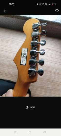 Tokai custom edition - which year? | Tokai & Japanese Guitar Forum