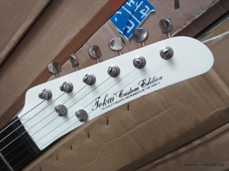 Unknown Custom Edition | Tokai & Japanese Guitar Forum