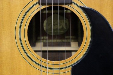 Aspen Guitars | Tokai & Japanese Guitar Forum