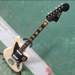 Surprise of the year 2023: Elk Wildcat from 1965 | Tokai