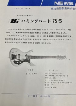 Hummingbird Bizarre Electric Guitar Gallery | Tokai & Japanese