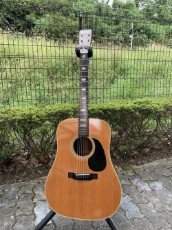 Humming Bird Custom