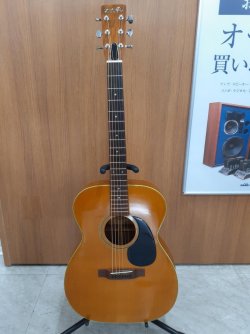 Humming Bird Custom
