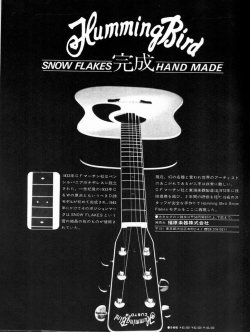 Humming Bird Custom