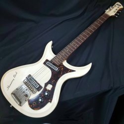 Hummingbird Bizarre Electric Guitar Gallery | Tokai & Japanese