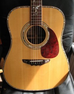 Humming Bird Custom HBD80 & HBT80 Made In China | Tokai & Japanese