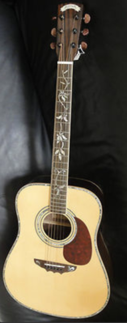 Humming Bird Custom HBD80 & HBT80 Made In China | Tokai & Japanese