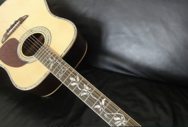 Humming Bird Custom HBD80 & HBT80 Made In China | Tokai & Japanese