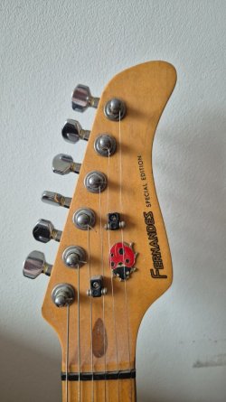 Fernandes LE-1 Identification Help | Tokai & Japanese Guitar Forum