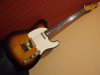 TE80 Gallery | Tokai & Japanese Guitar Forum