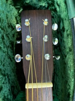 Snappy | Page 2 | Tokai & Japanese Guitar Forum