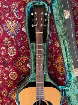 Snappy | Page 2 | Tokai & Japanese Guitar Forum