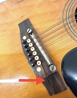 Snappy | Page 2 | Tokai & Japanese Guitar Forum