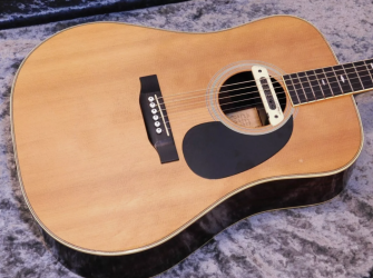Cats Eyes CE-1000 - Any ideas what the back wood could be? | Tokai