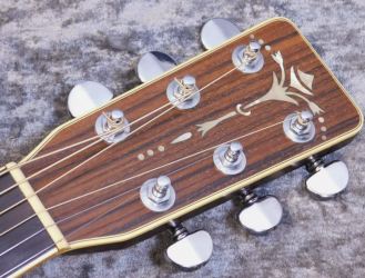 Cats Eyes CE-1000 - Any ideas what the back wood could be? | Tokai