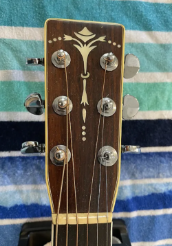Cats Eyes CE-1000 - Any ideas what the back wood could be? | Tokai