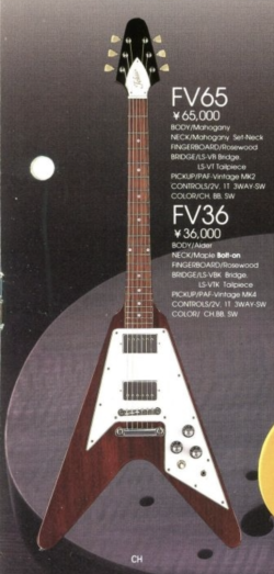 Tokai Flying V - please help to identify | Tokai & Japanese Guitar