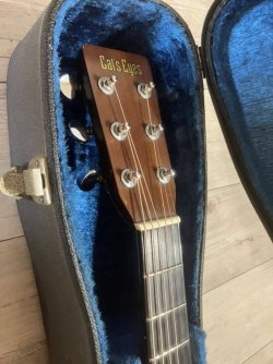 Snappy | Page 2 | Tokai & Japanese Guitar Forum