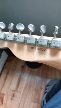 Navigator Telecaster (N-TE) Guitar Gallery | Tokai & Japanese