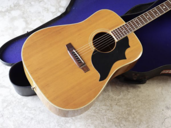 Pearl Acoustic Guitars By Hayashi | Tokai & Japanese Guitar Forum