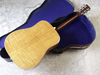 Pearl Acoustic Guitars By Hayashi | Tokai & Japanese Guitar Forum