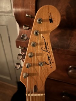 Seymour Duncan DS Identification | Tokai & Japanese Guitar Forum
