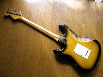 Seymour Duncan DS Identification | Tokai & Japanese Guitar Forum