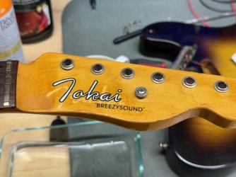 1980 Tokai TE80 Breezy Sound | Tokai & Japanese Guitar Forum