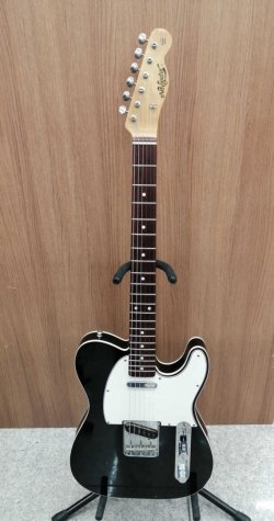 Navigator Telecaster (N-TE) Guitar Gallery | Tokai & Japanese