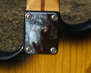 Seymour Duncan DS Identification | Tokai & Japanese Guitar Forum